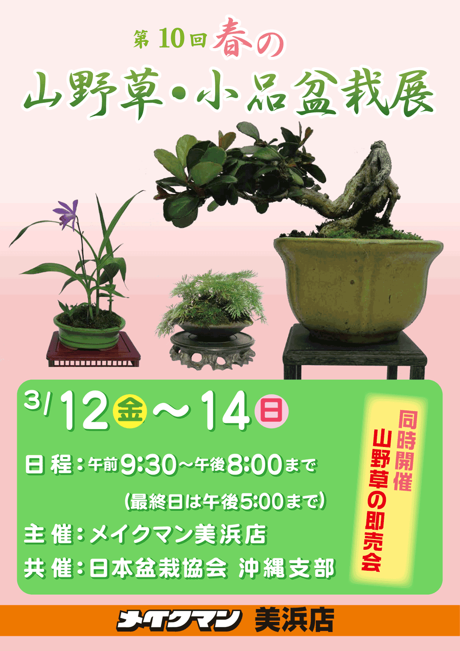 第10回 春の山野草 小品盆栽展 沖縄イベント情報 箆柄暦